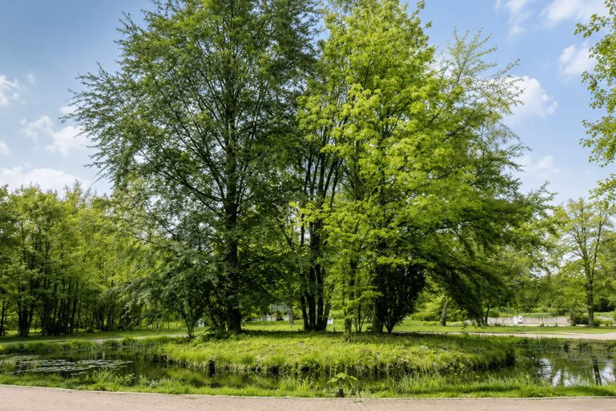 Blue Space im Alltag